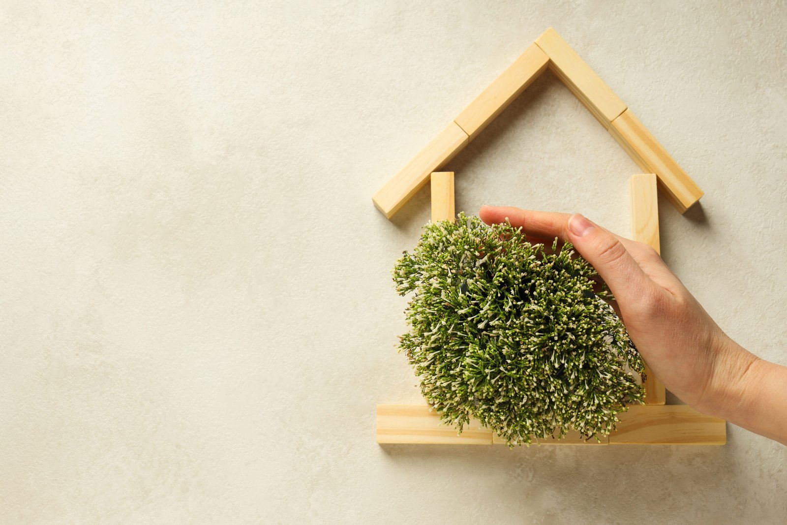 Casa sustentável: como adotar o saneamento descentralizado
