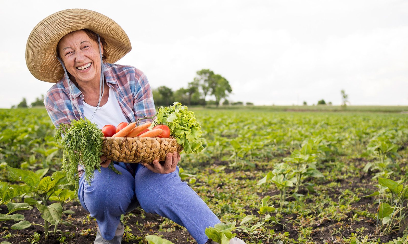 Qual o impacto do sistema biodigestor no saneamento rural?