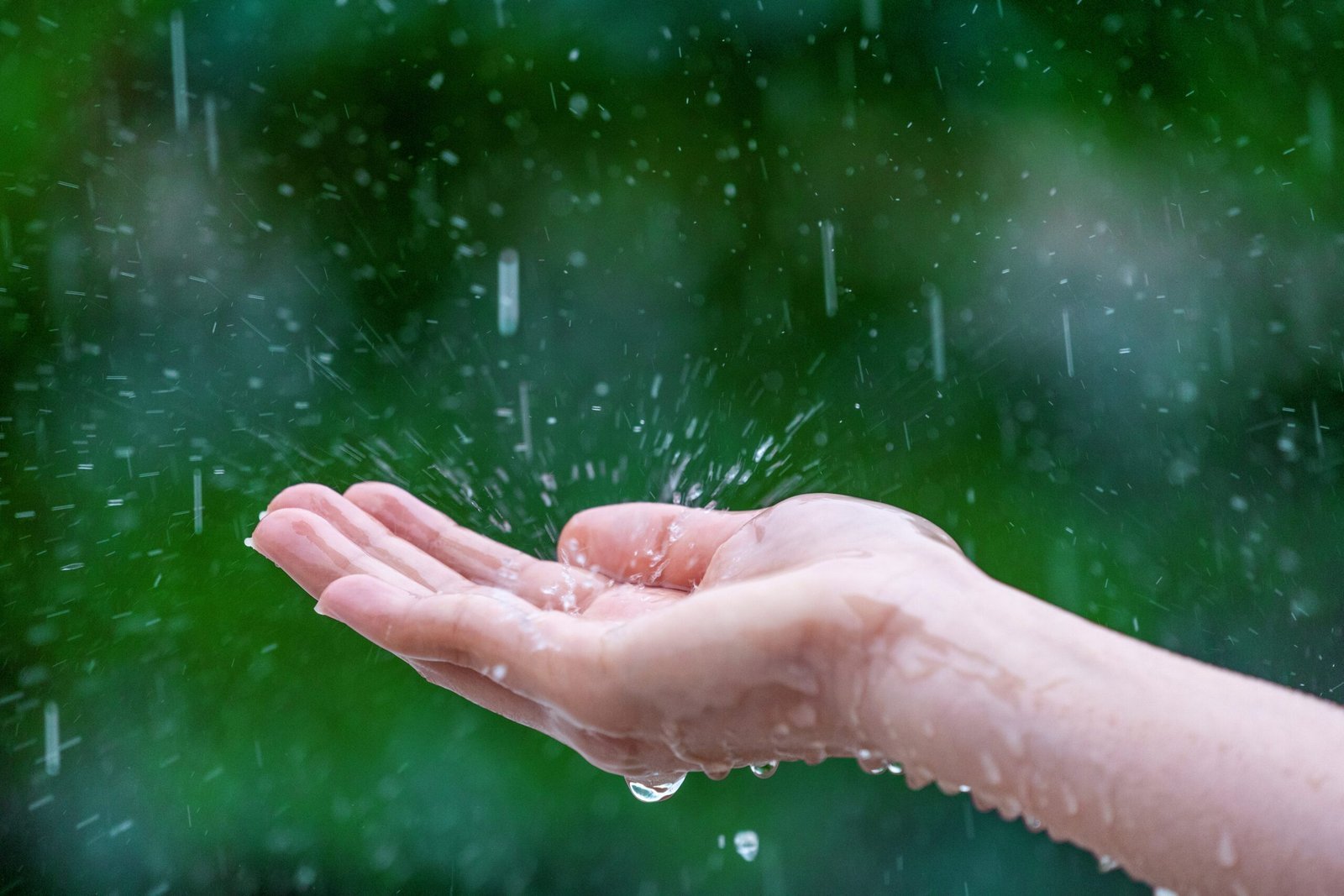 Como funcionam as cisternas de água de chuva